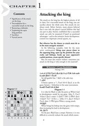 Boost your Chess 2 - Beyond the Basics by Artur Yusupov