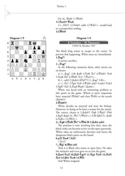 Boost your Chess 2 - Beyond the Basics by Artur Yusupov