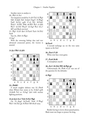 Champions of the New Millennium - Ftacnik, Kopec and Browne (softcover)
