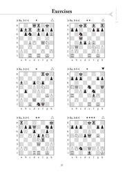 Chess Evolution 1 by Artur Yusupov