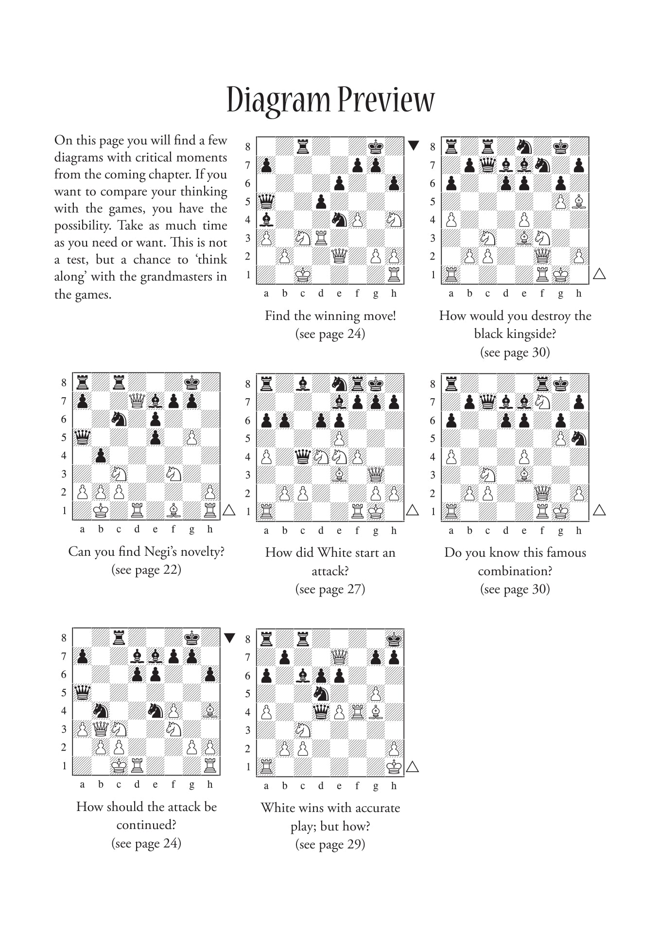 Dynamic Decision Making in Chess by Boris Gelfand - Dynamic Decision Making in Chess by Boris Gelfand