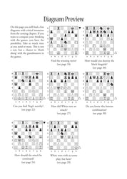 Dynamic Decision Making in Chess by Boris Gelfand