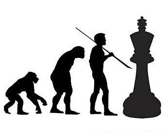 modern-ideas-in-chess-9781888690620.jpg