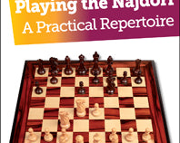 playing-the-najdorf-by-david-vigorito-twarda-okladka-9781907982668.jpg