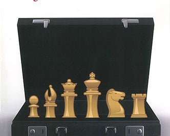 profession-chessplayer-grandmaster-at-work-9781936490288.jpg