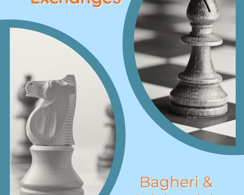 understanding-chess-exchanges-by-bagheri-salehzadeh-twarda-okladka-9781784831998.jpg